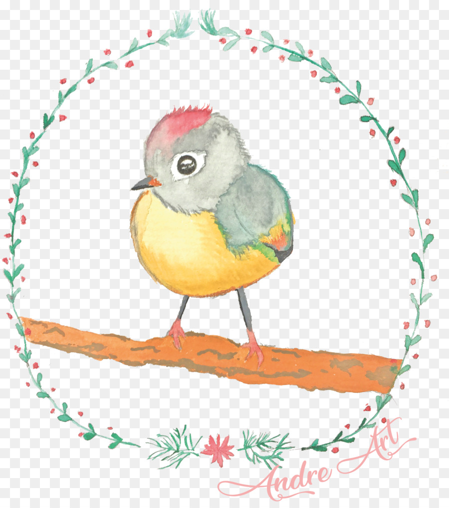 Ilustración De Aves，Dibujo PNG