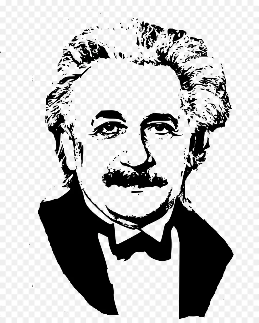 Albert Einstein，El Cabello Negro PNG