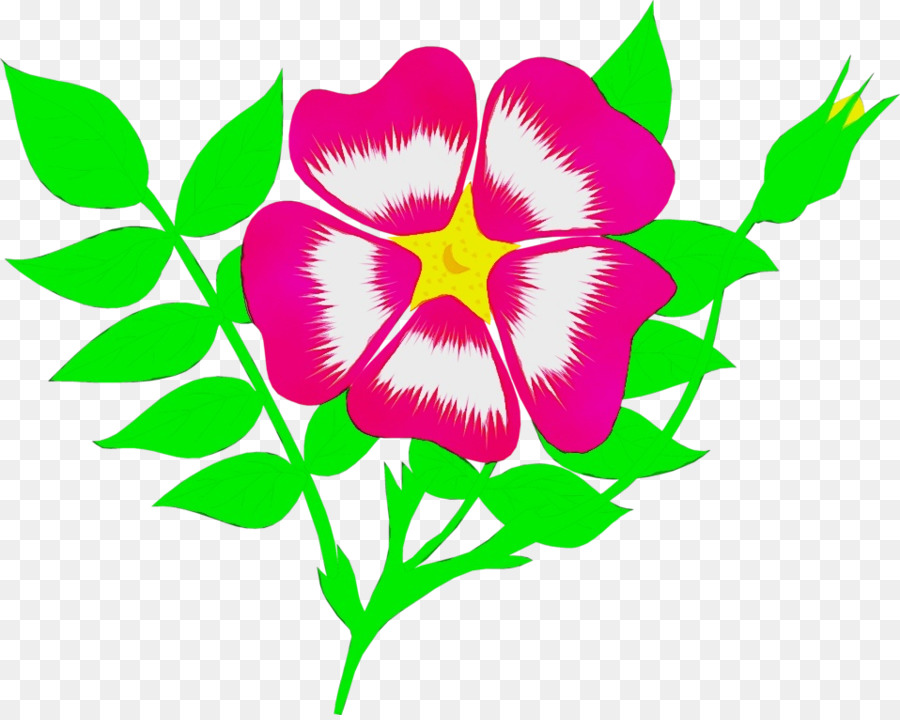 Animación，Flor PNG