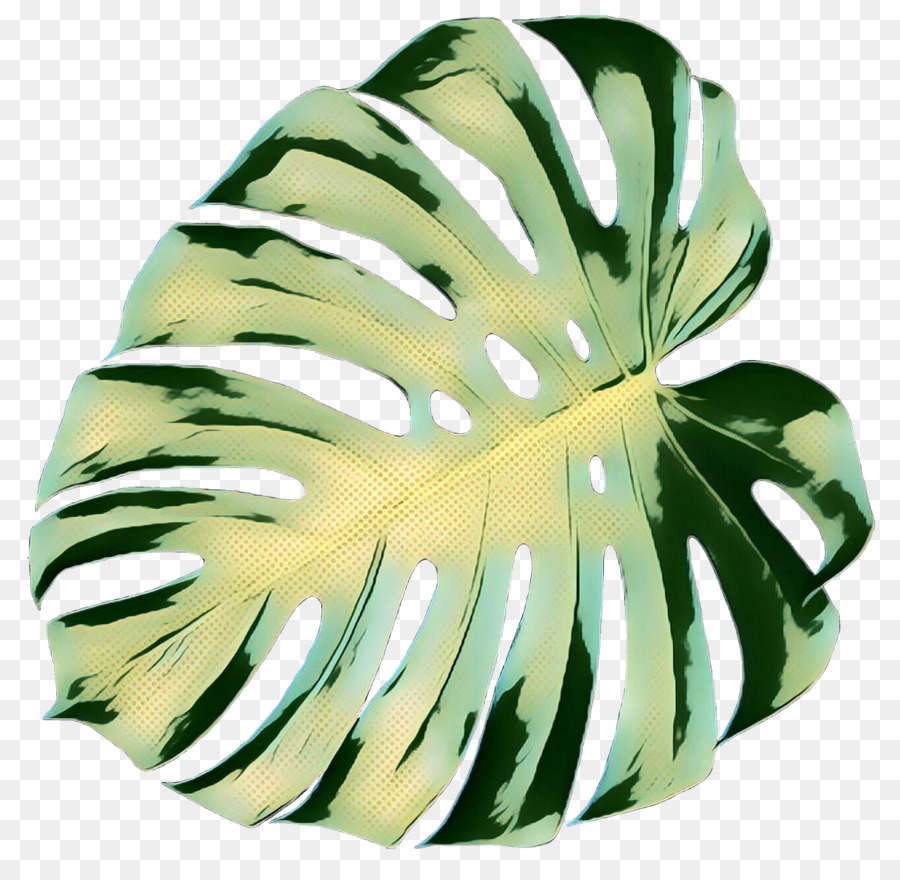 Hoja Verde，Planta PNG