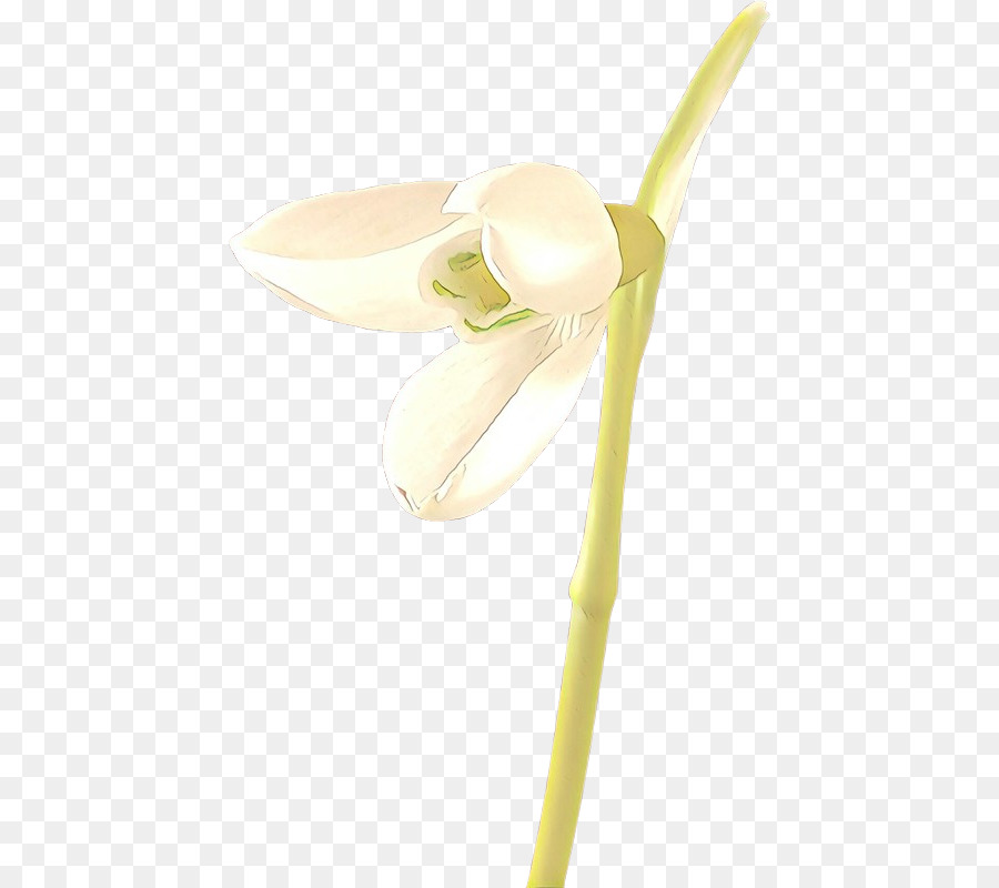 Flor，Amarillo PNG