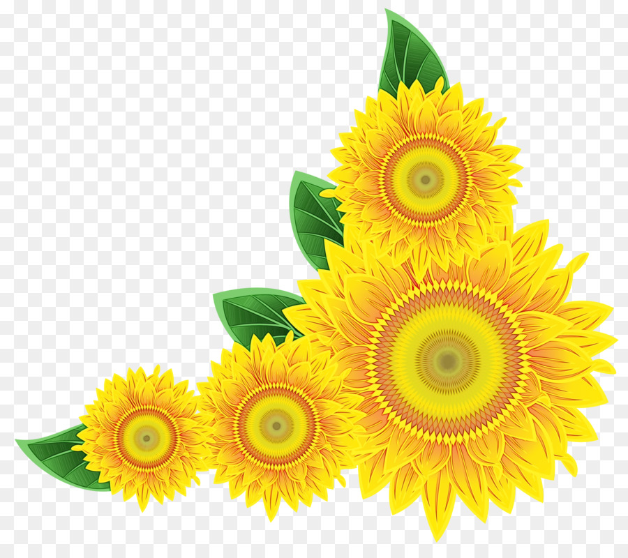 Girasoles，Arcoíris PNG