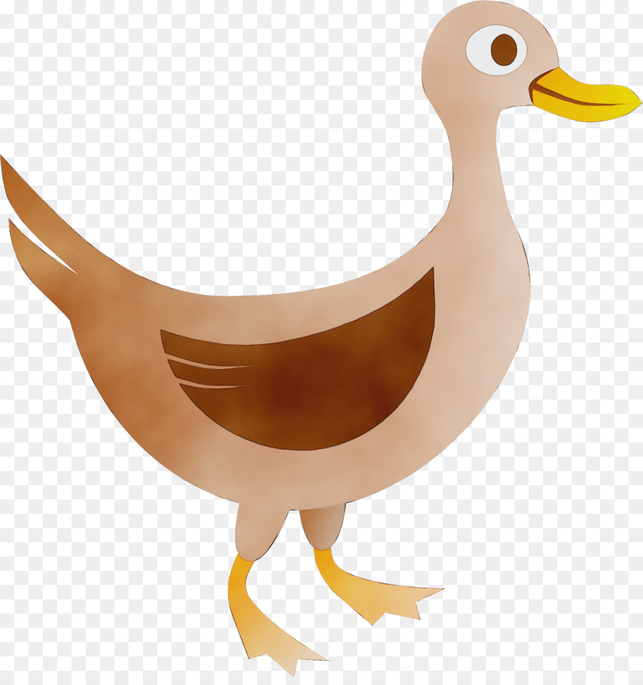 Pato，Ganso PNG