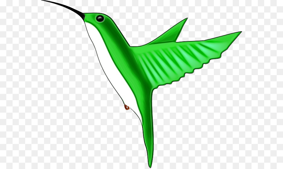 Colibrí，Aves PNG