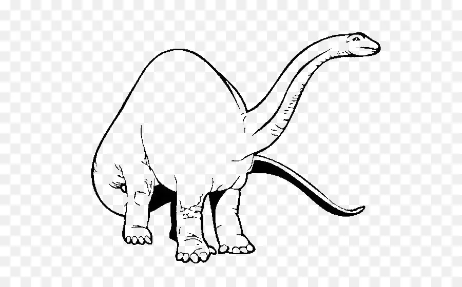 Brachiosaurus，Libro Para Colorear PNG