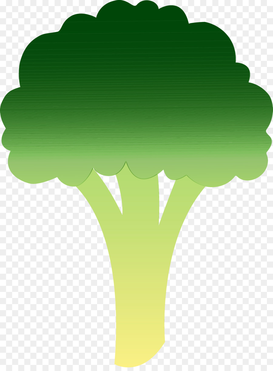 árbol，Planta PNG