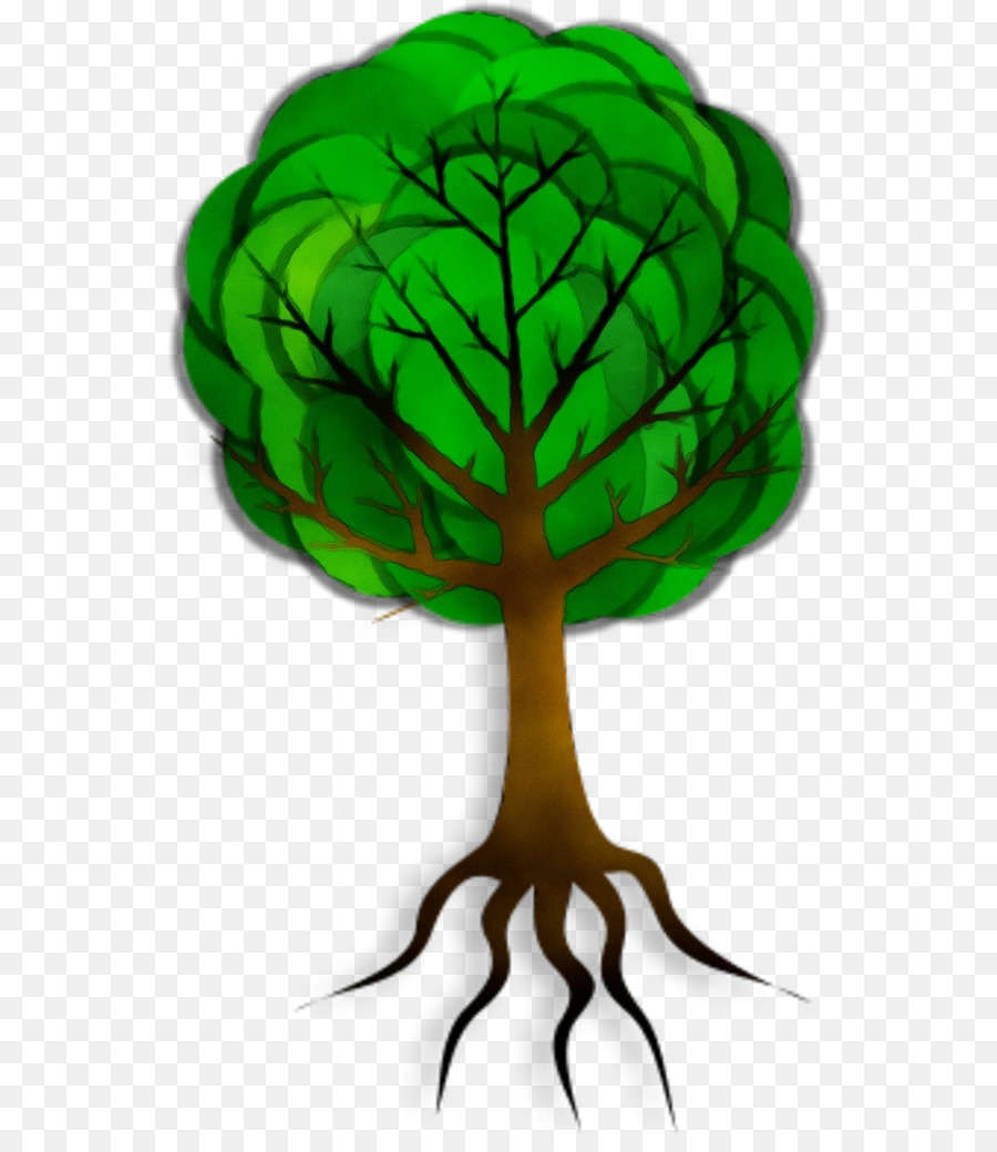 Árbol，Hojas PNG