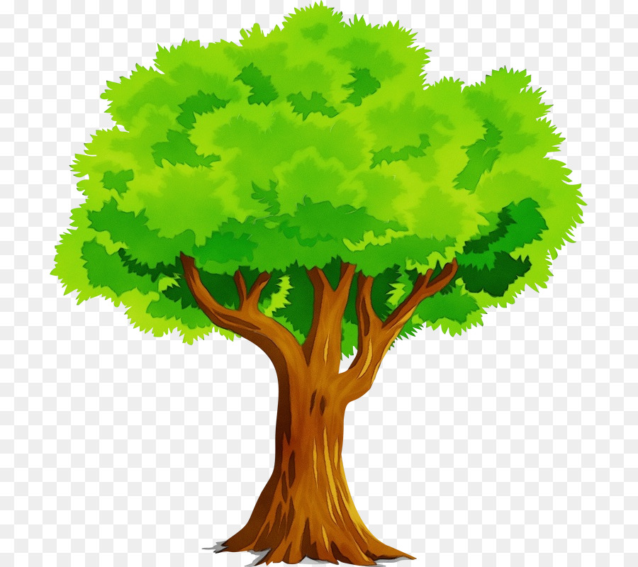 árbol Verde，Hojas PNG