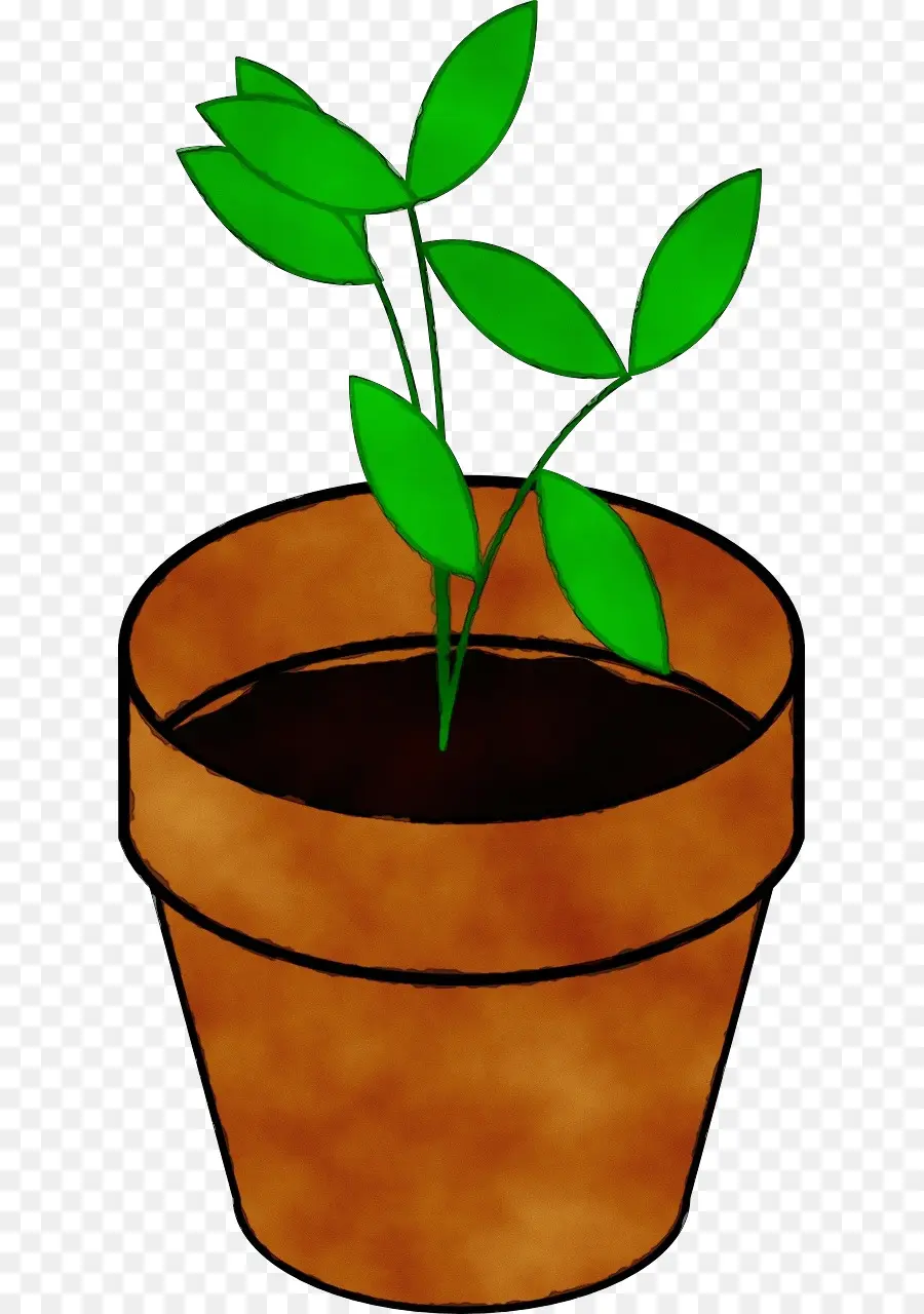 Planta En Maceta，Hojas PNG