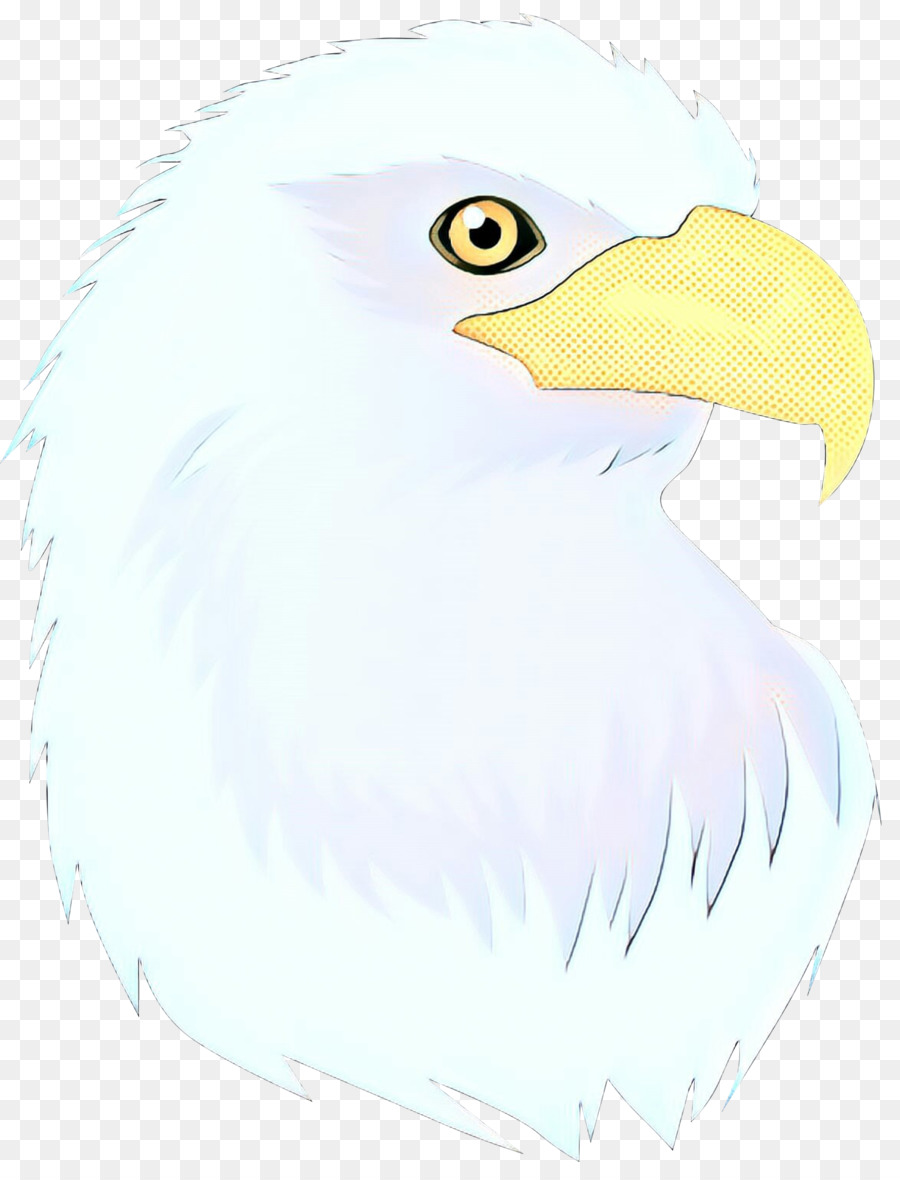 águila Calva，Aves PNG