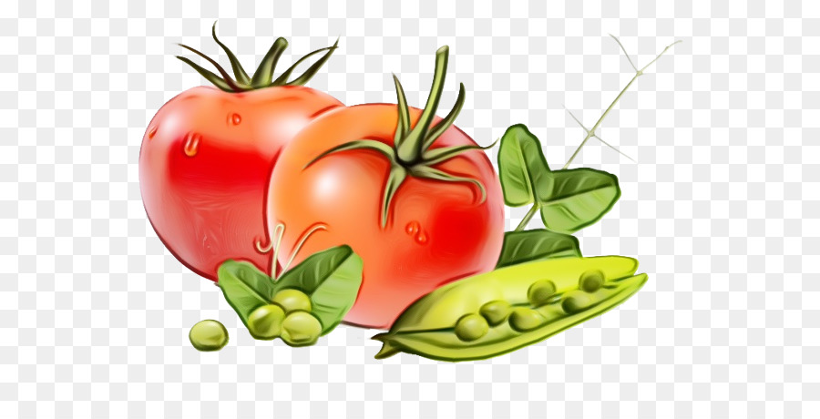 Vegetal，La Fruta PNG