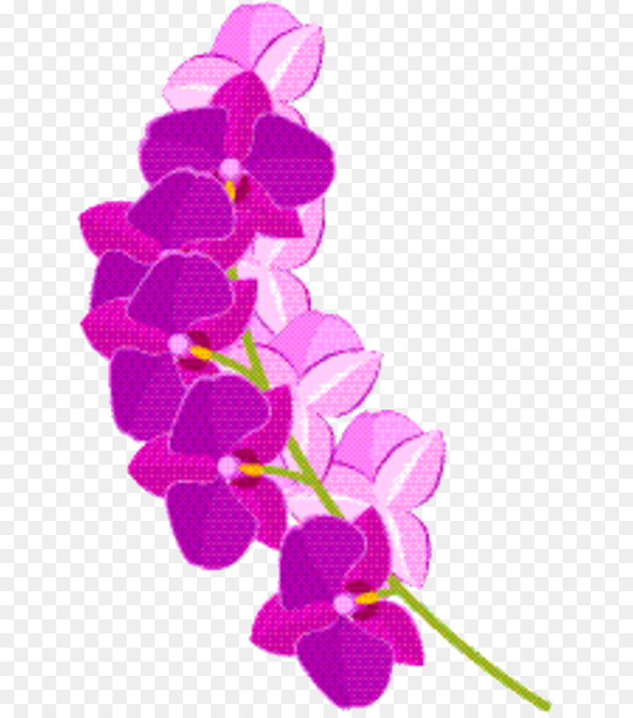 Diseño Floral，Las Flores Cortadas PNG