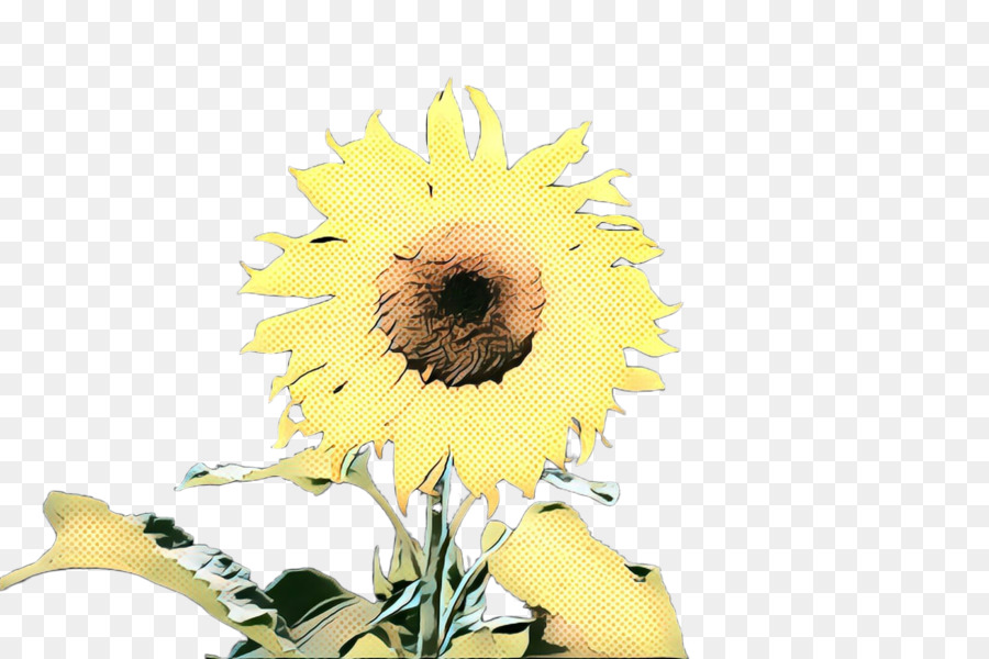 Común De Girasol，Diseño Floral PNG