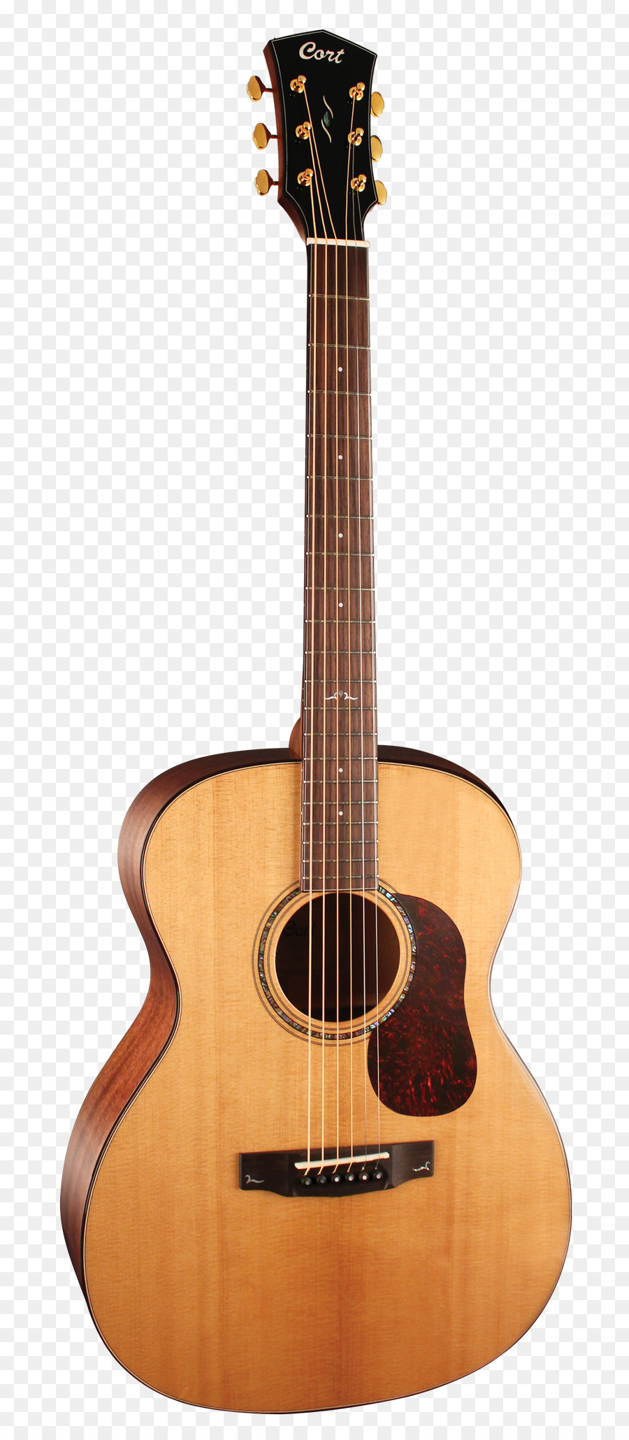 Guitarra，Instrumentos De Cuerda PNG