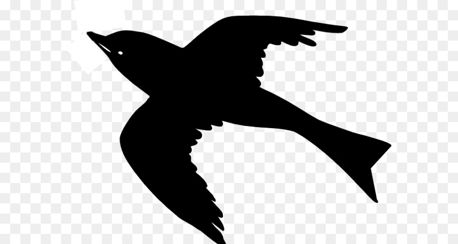 Aves，Vuelo PNG