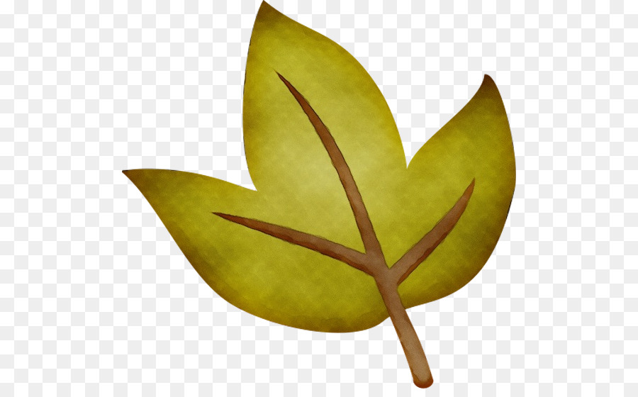 Hoja，La Fruta PNG