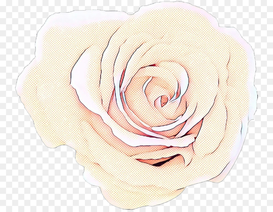 Rosa Blanca Y Negra，Rosa PNG