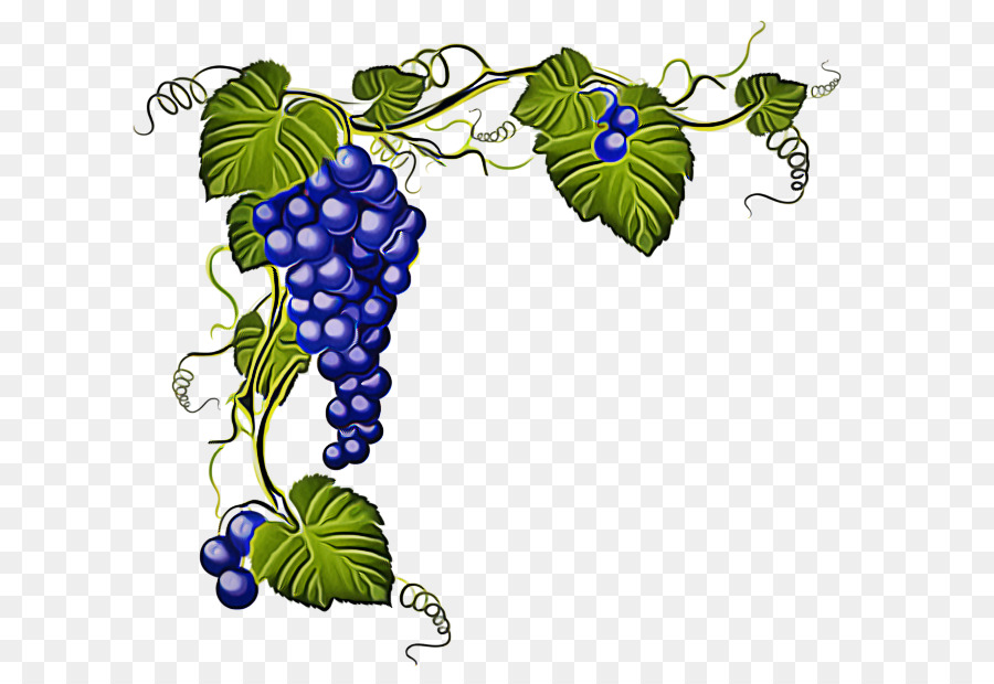 Uvas Moradas，Hojas PNG