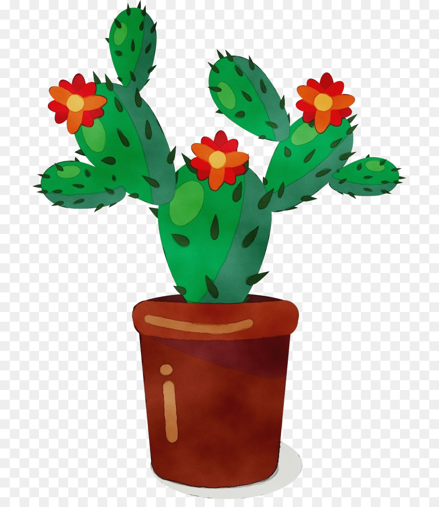 Cactus，Planta Suculenta PNG