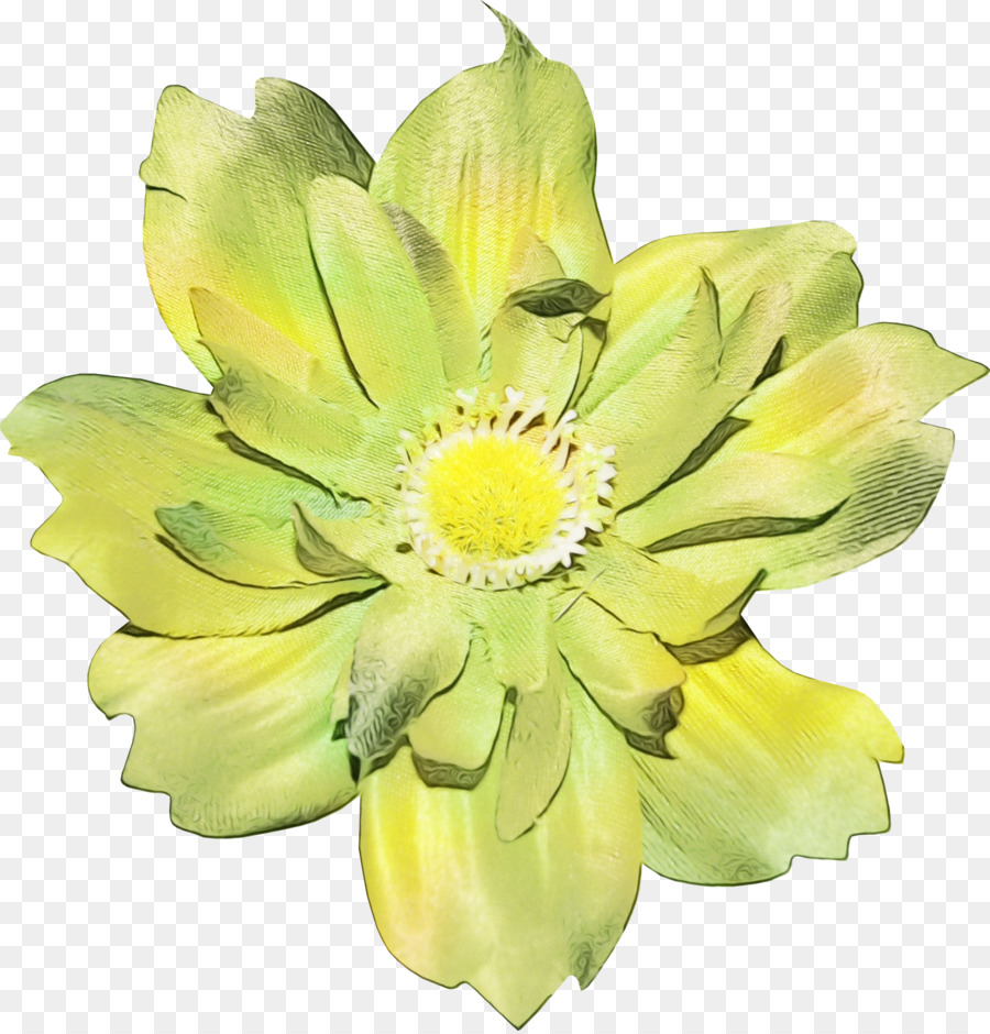 Diseño Floral，Flor PNG