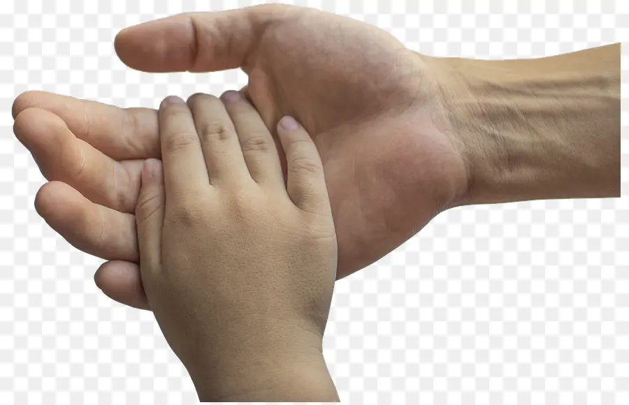 Manos De Adulto Y Niño，Tocar PNG