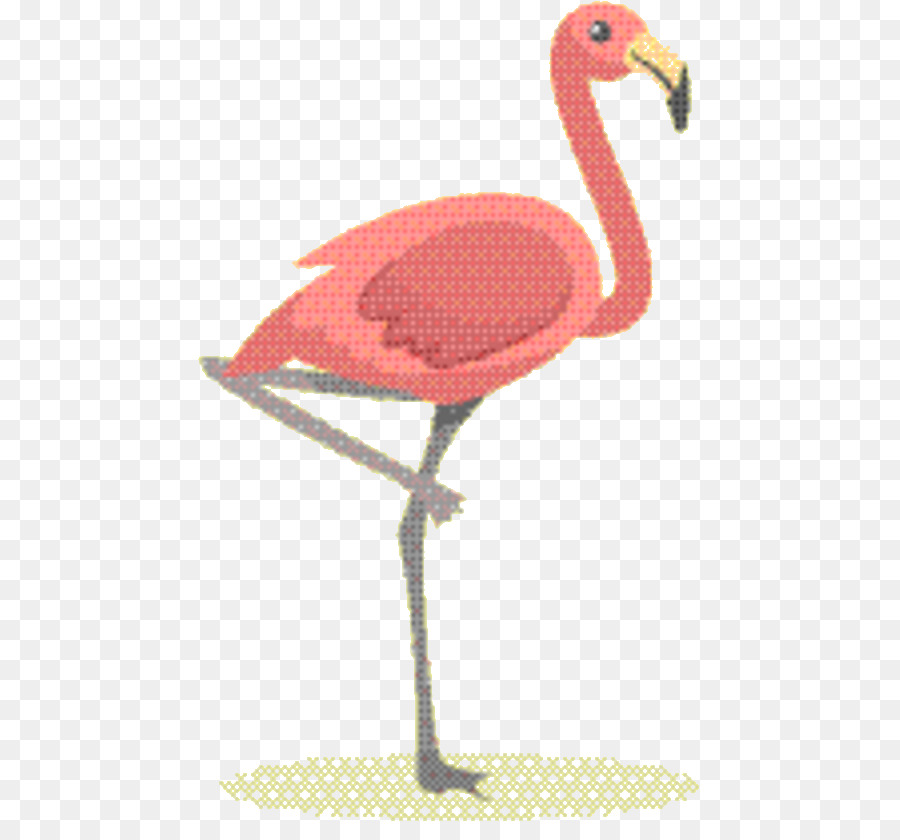 Pico，Aves PNG