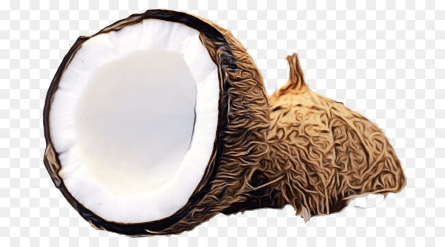 Coco，La Comida PNG