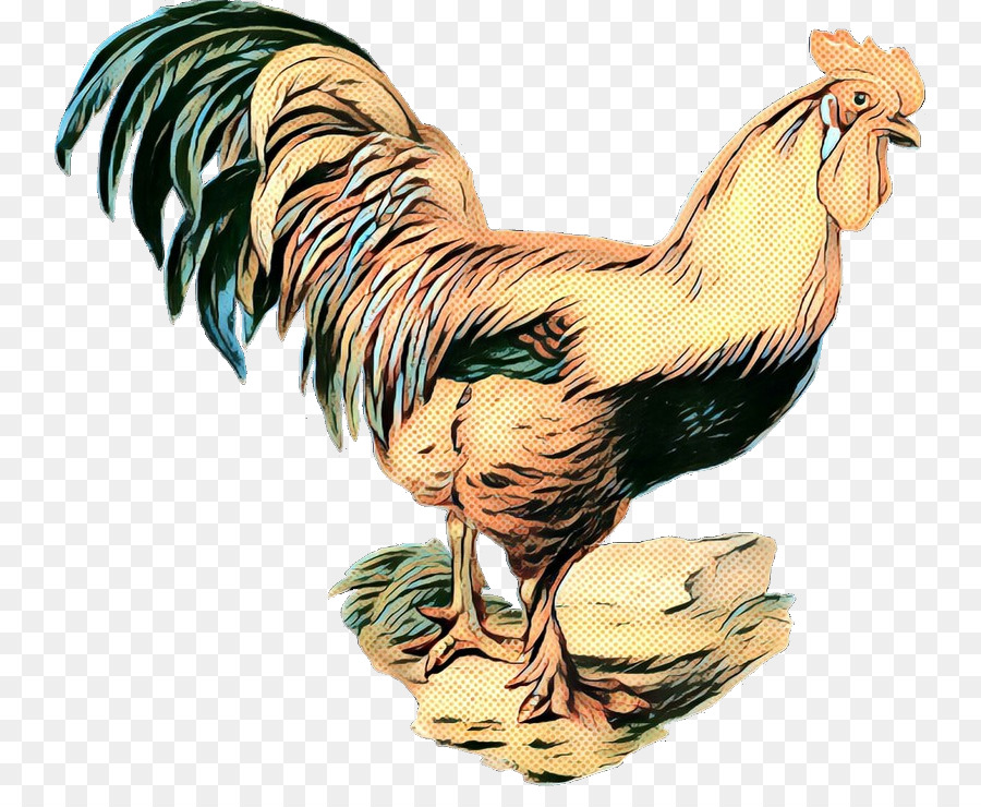 Gallo，Pollo PNG