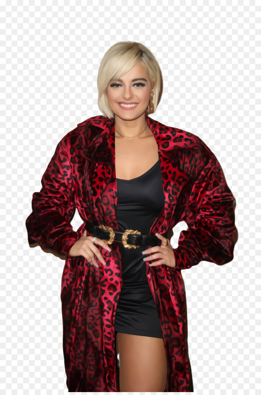 Bebe Rexha，2018 PNG