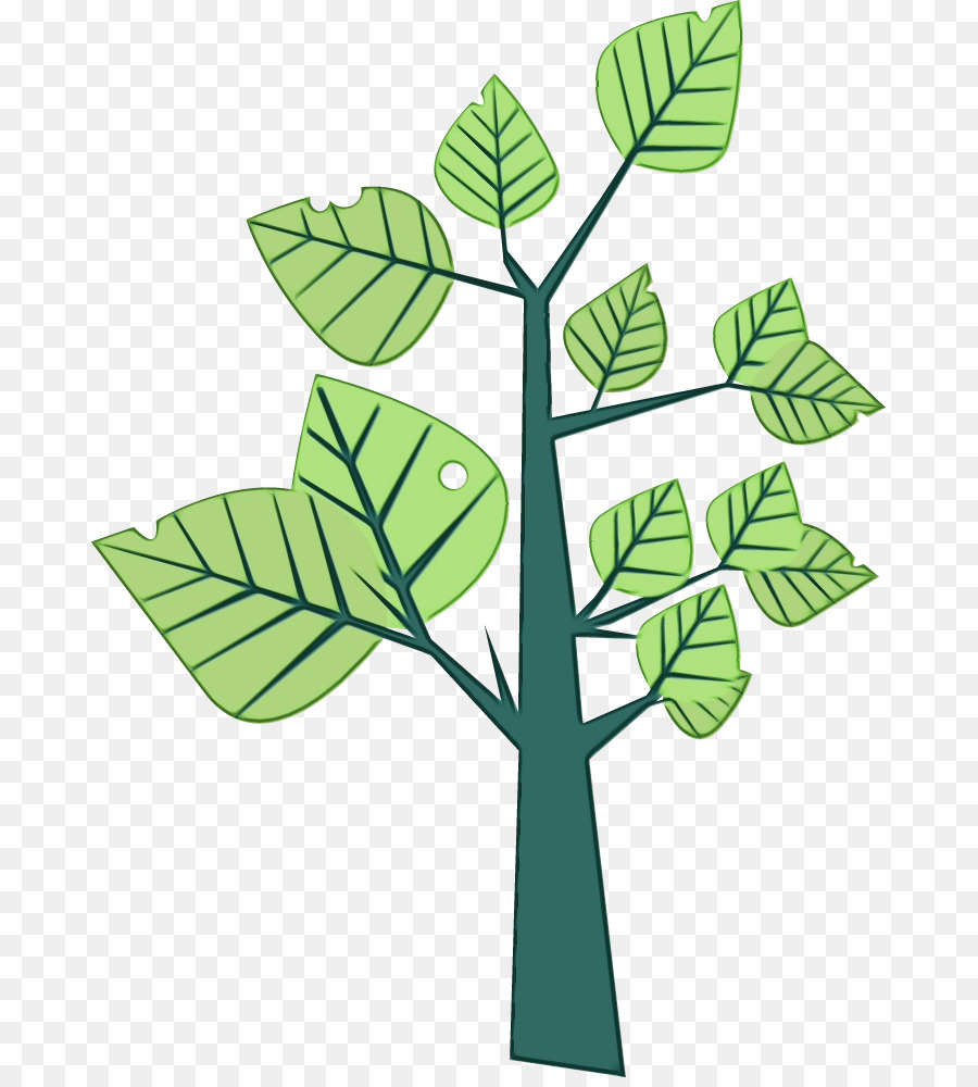 Árbol，Hojas PNG