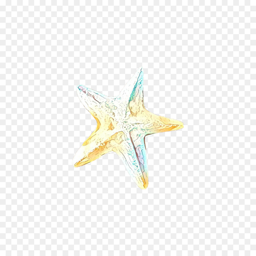 Joyería，Estrella De Mar PNG