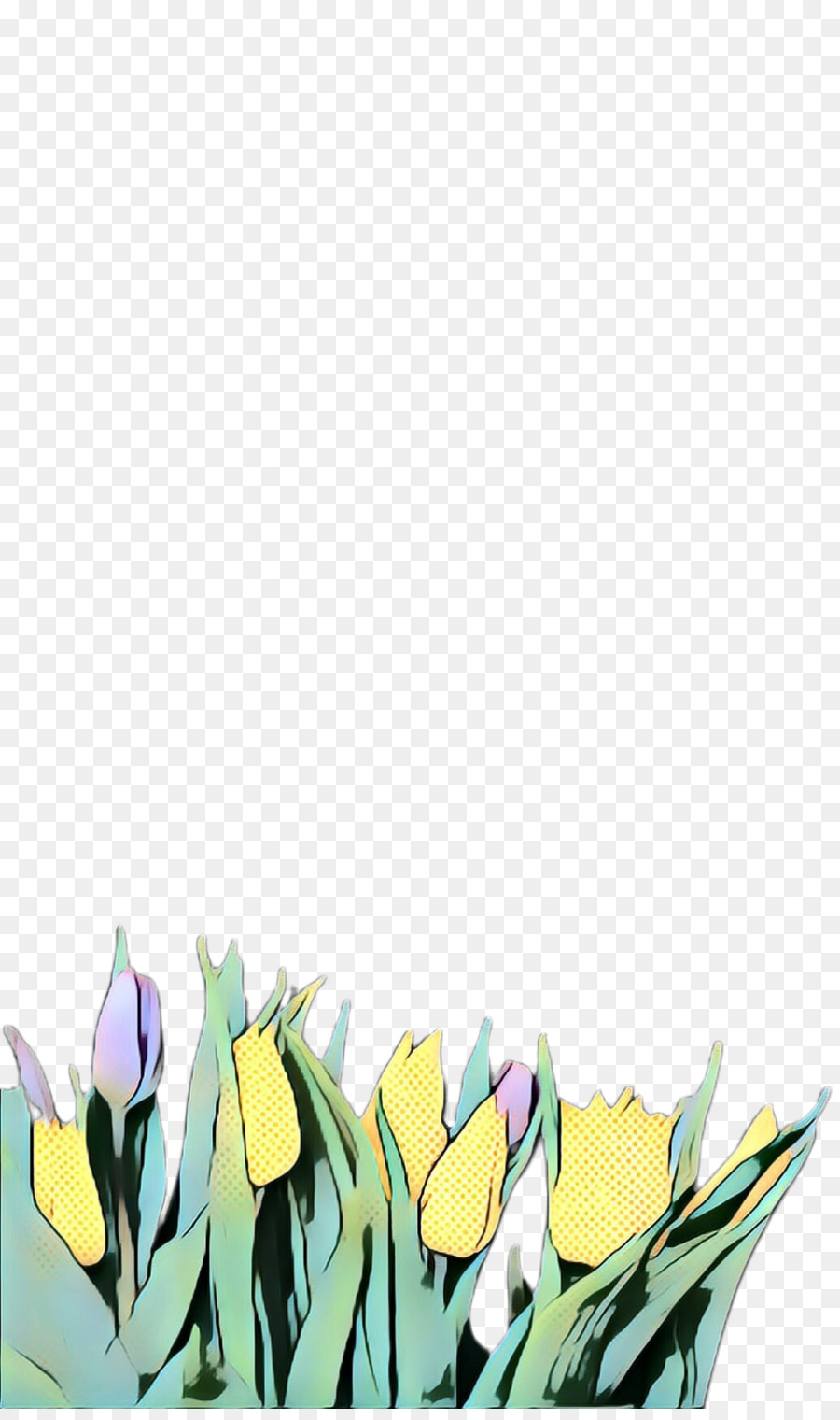 Tulip，Amarillo PNG