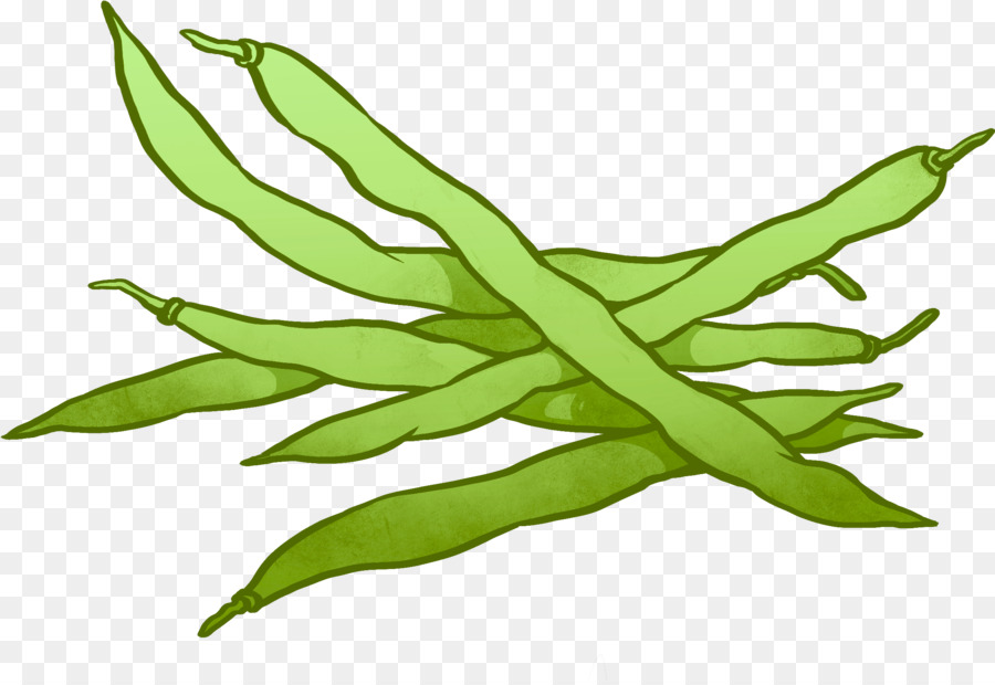 Guiso De Judías Verdes，De Judías Verdes PNG