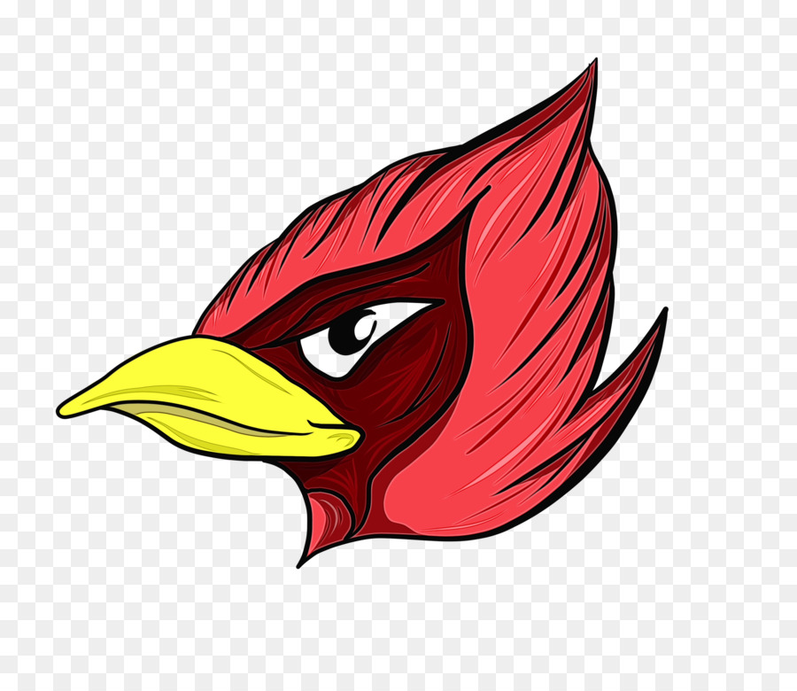 Cardenales De Arizona，La Nfl PNG