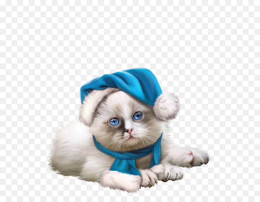 Lindo Gatito，Gatito PNG