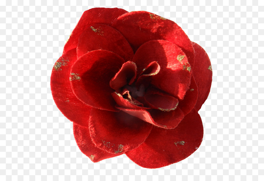 Flor Roja，Florecer PNG