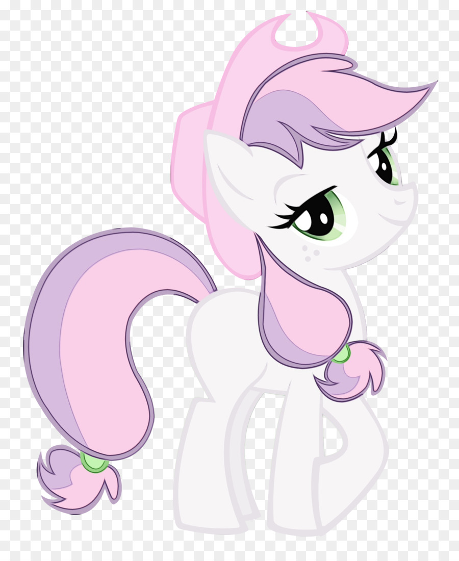 Gato，Caballo PNG