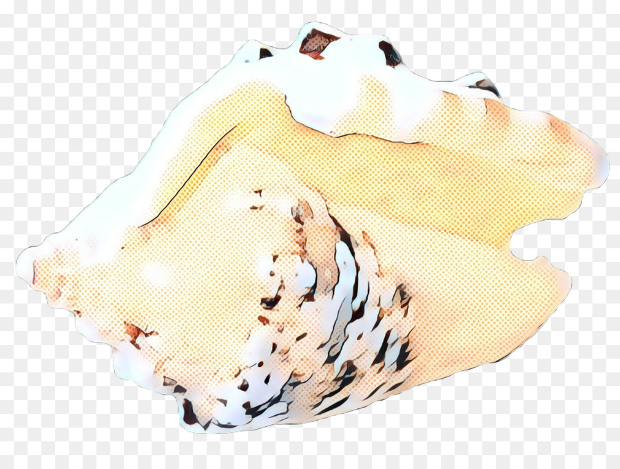 Trompeta，Concha PNG