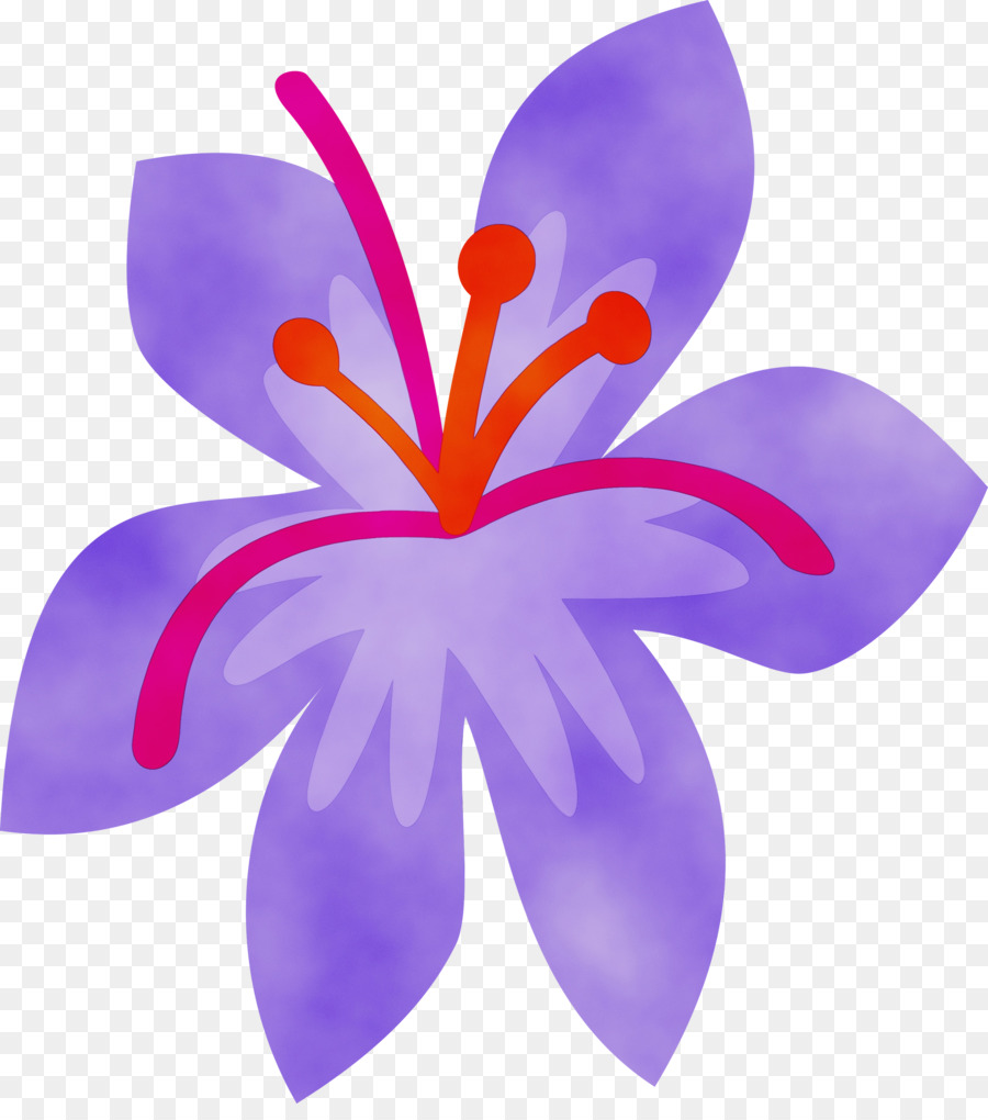 Pétalo，Violeta PNG