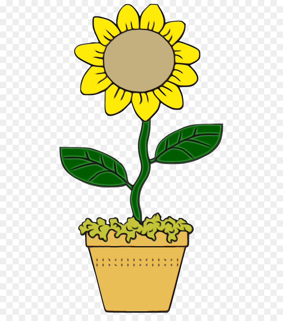 Girasol，Flor PNG