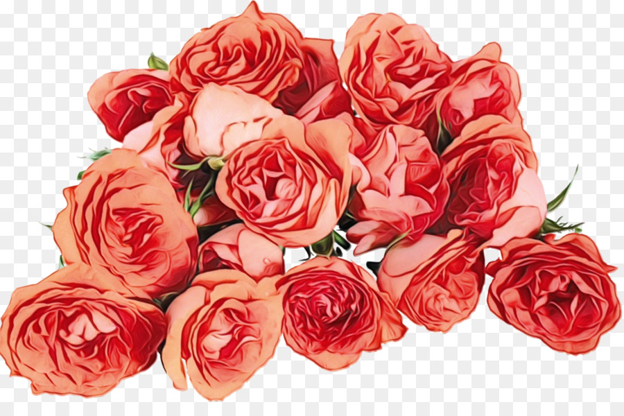 Las Rosas De Jardín，Flor PNG