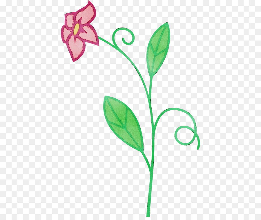 Flor，Hoja PNG