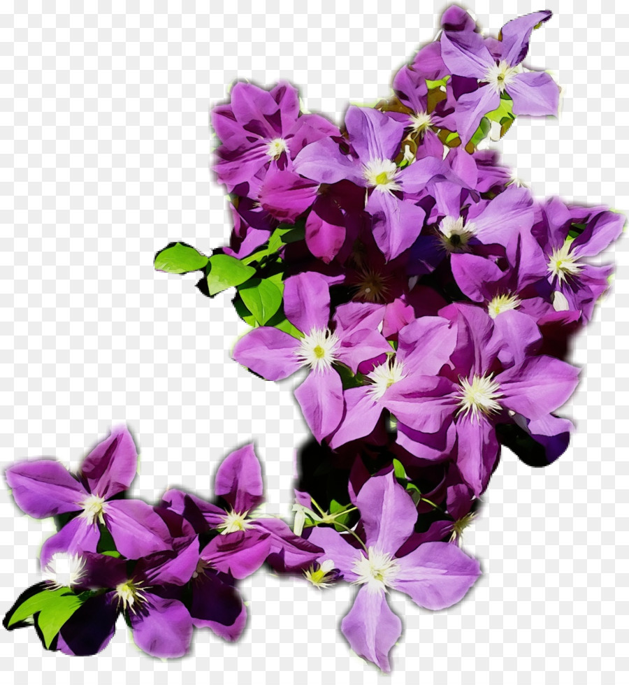 Flor，Florecer PNG