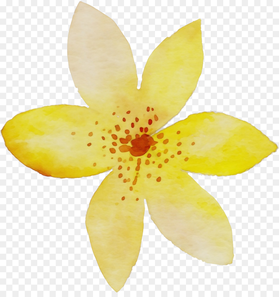 Pétalo，Flor PNG