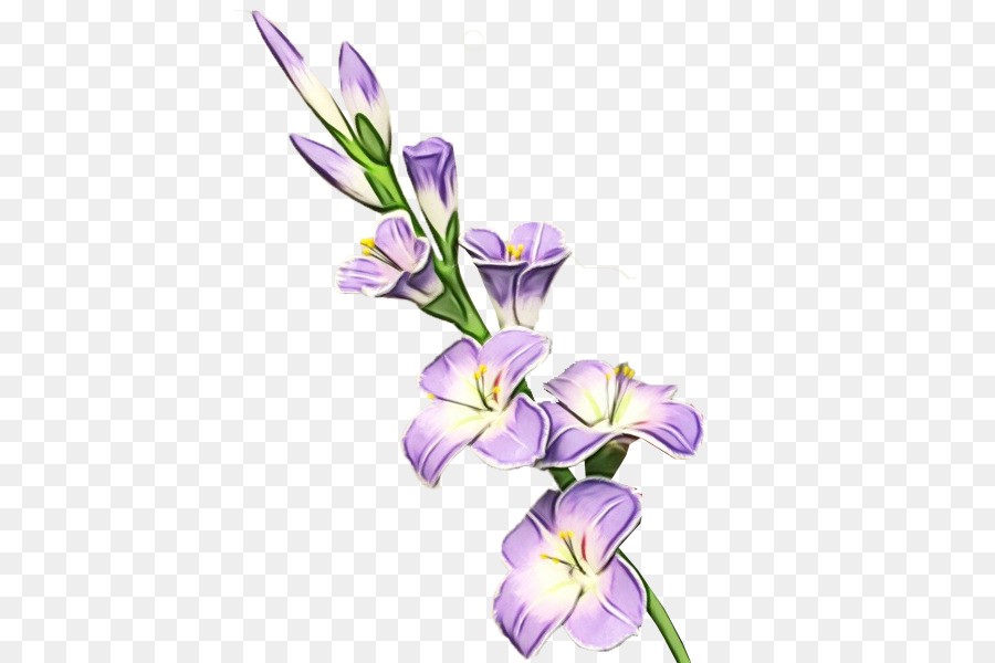 Flores Moradas，Florecer PNG