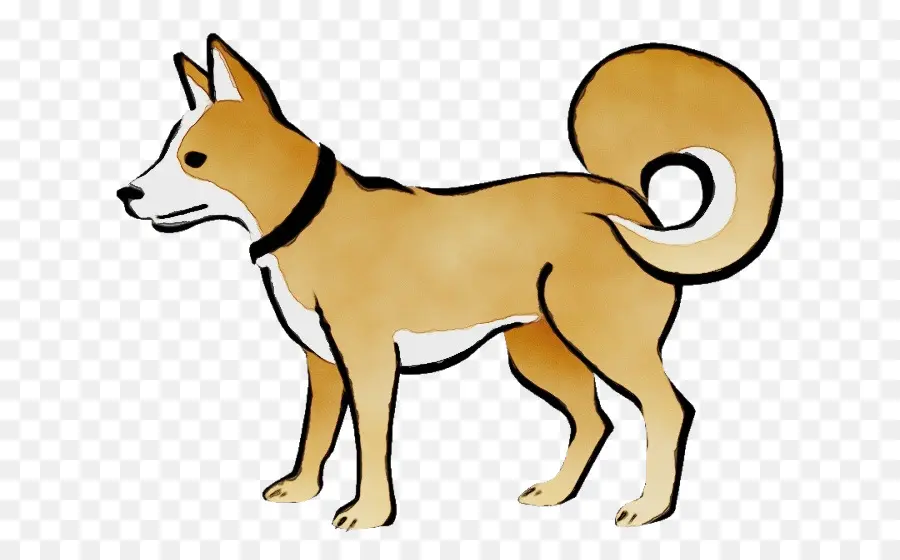 Perro，Raza De Perro PNG