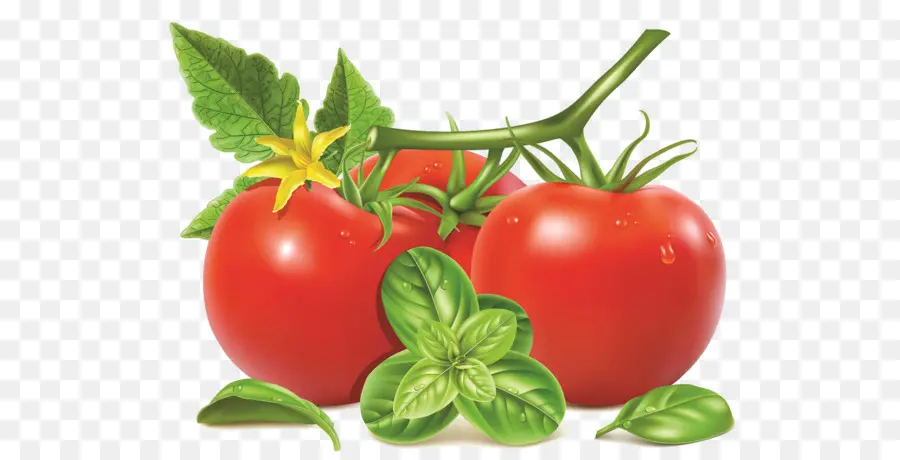 Alimentos Naturales，Bush Tomate PNG