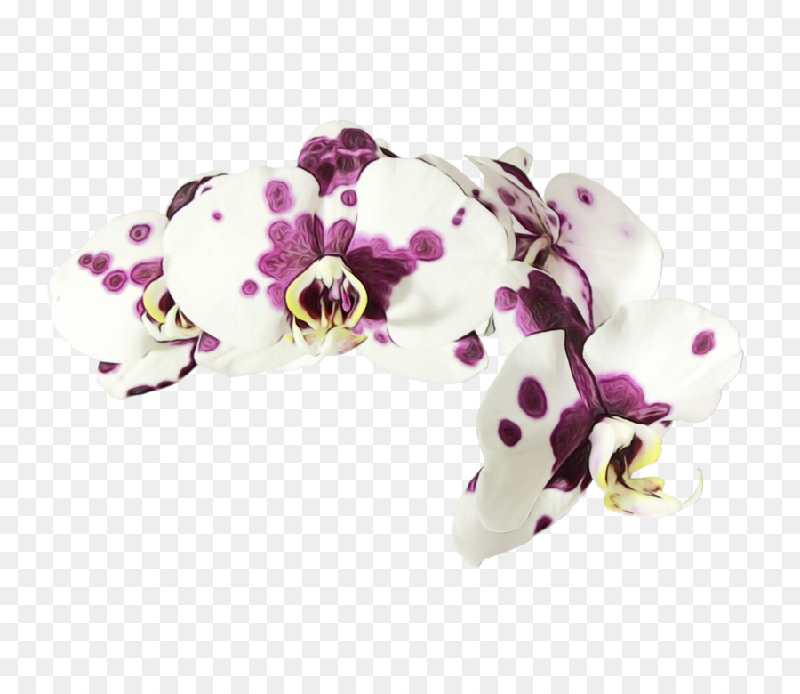 Violeta，Accesorio De Moda PNG