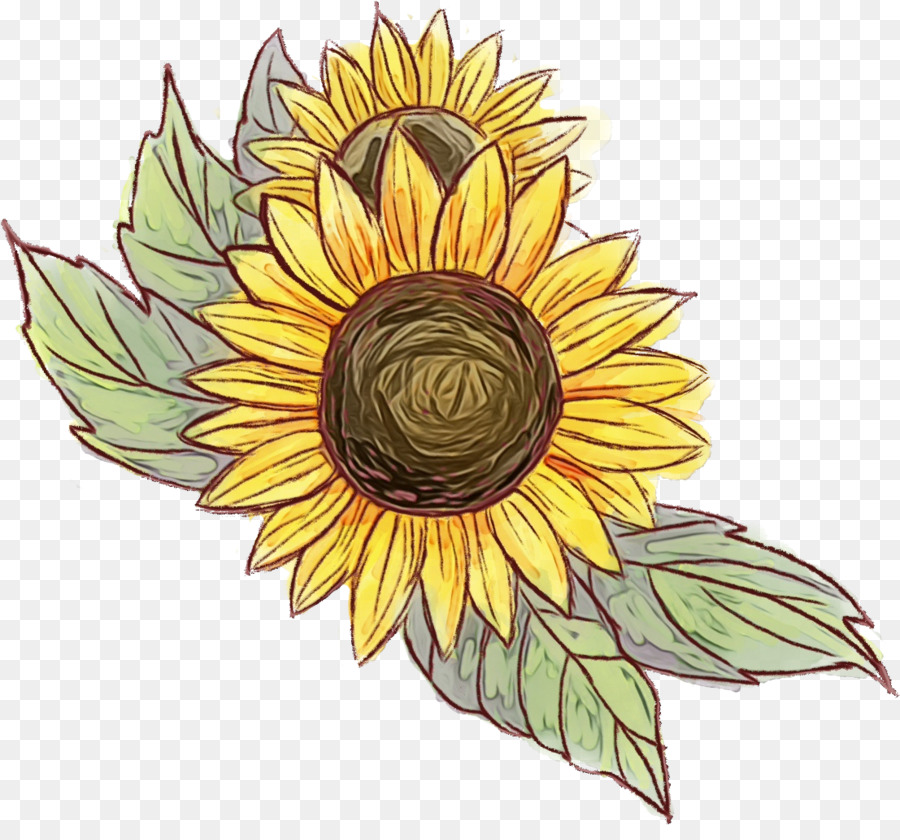 Girasol Amarillo，Hojas Verdes PNG