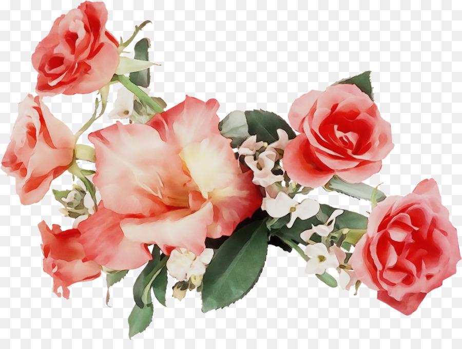 Flor，Las Rosas De Jardín PNG